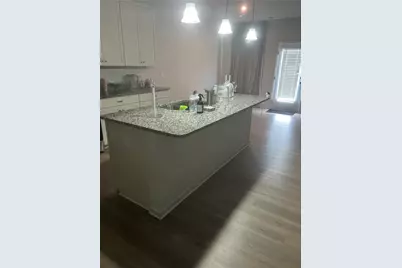 233 Chase Drew Drive, Cartersville, GA 30120 - Photo 3