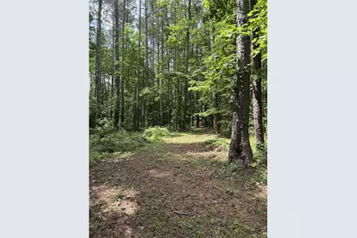 110 N Cove Drive, Hogansville, GA 30230 - Photo 11