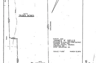 929 Nicholsville Rd, Monroe, GA 30656 - Photo 59