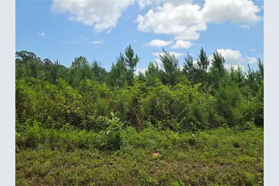 0 Wehunt Road, Covington, GA 30016 - Photo 3