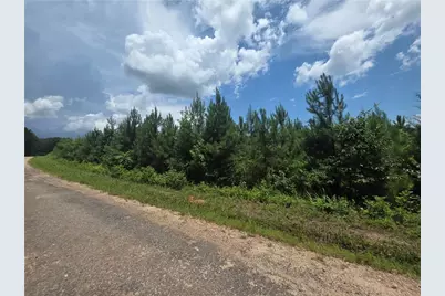 0 Wehunt Road, Covington, GA 30016 - Photo 1