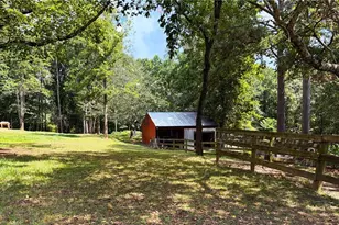 3204 Reavis Mountain Rd, Ball Ground, GA 30107 - Photo 67