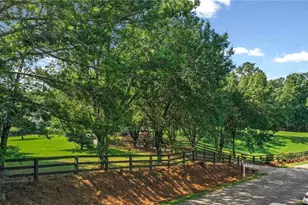 3204 Reavis Mountain Rd, Ball Ground, GA 30107 - Photo 81