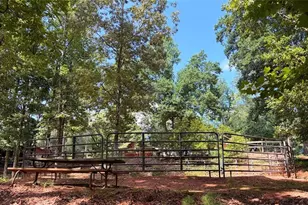 3204 Reavis Mountain Rd, Ball Ground, GA 30107 - Photo 75