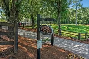 3204 Reavis Mountain Rd, Ball Ground, GA 30107 - Photo 3