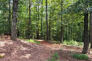 3204 Reavis Mountain Rd, Ball Ground, GA 30107 - Photo 77