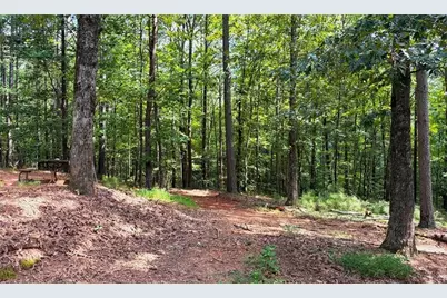 3204 Reavis Mountain Road, Ball Ground, GA 30107 - Photo 81