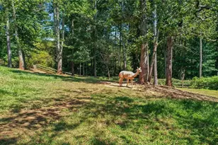 3204 Reavis Mountain Rd, Ball Ground, GA 30107 - Photo 51