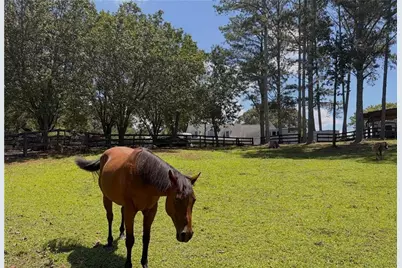 3204 Reavis Mountain Road, Ball Ground, GA 30107 - Photo 67