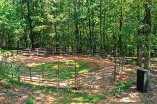 3204 Reavis Mountain Rd, Ball Ground, GA 30107 - Photo 75