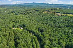 3204 Reavis Mountain Rd, Ball Ground, GA 30107 - Photo 83