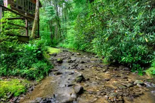 76 Serenity Pl, Ellijay, GA 30540 - Photo 13