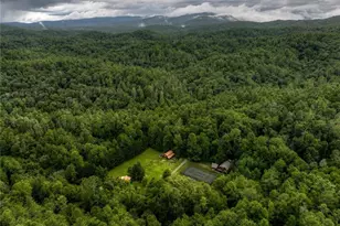 76 Serenity Pl, Ellijay, GA 30540 - Photo 43
