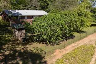 151 Ginn St, Carnesville, GA 30521 - Photo 45