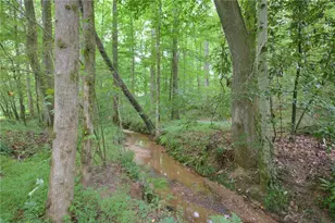 496 Carlouetta Road SW, Mableton, GA 30126 - Photo 55