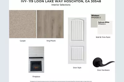 119 Loon Lake Way, Hoschton, GA 30548 - Photo 3