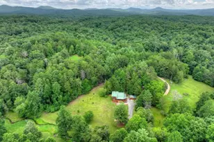 355 Happy Valley Ln, Morganton, GA 30560 - Photo 51