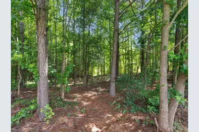 145 Michael Lane, McDonough, GA 30252 - Photo 43