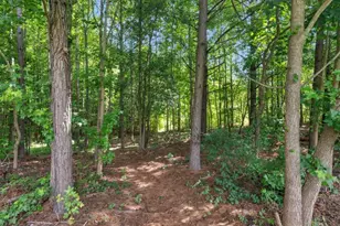 145 Michael Ln, McDonough, GA 30252 - Photo 43