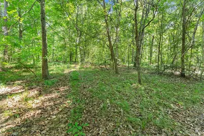 0 Prospect Road, Carnesville, GA 30521 - Photo 23