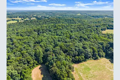 0 Prospect Road, Carnesville, GA 30521 - Photo 5