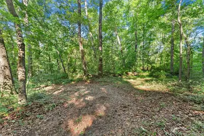 0 Prospect Road, Carnesville, GA 30521 - Photo 9