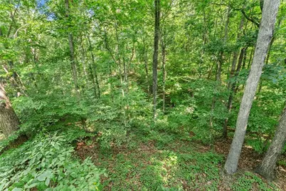 0 Prospect Road, Carnesville, GA 30521 - Photo 25