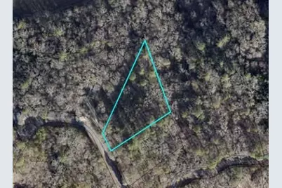 Lt941 Myna Drive, Ellijay, GA 30540 - Photo 1