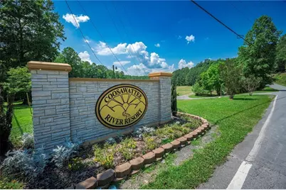 Lt941 Myna Drive, Ellijay, GA 30540 - Photo 3