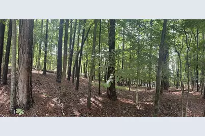 460 Covington Cove, Johns Creek, GA 30022 - Photo 3