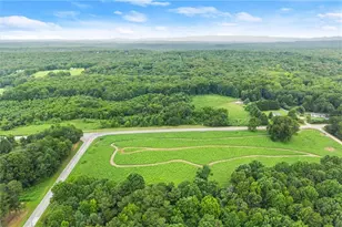 0 Dawsonville Hwy, Dawsonville, GA 30534 - Photo 9