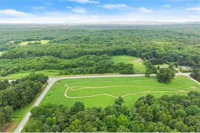 0 Dawsonville Highway, Dawsonville, GA 30534 - Photo 9
