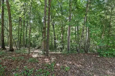 0 Plum Lane, Clarkesville, GA 30523 - Photo 5