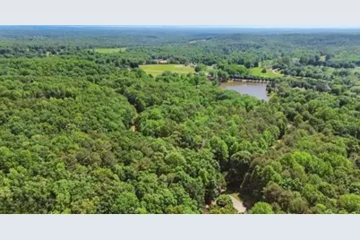 0 Plum Lane, Clarkesville, GA 30523 - Photo 11