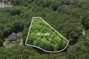 0 Plum Ln, Clarkesville, GA 30523 - Photo 1