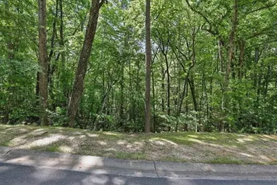 0 Plum Lane, Clarkesville, GA 30523 - Photo 3