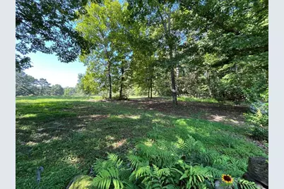 25 Loon Lane, Ball Ground, GA 30107 - Photo 61