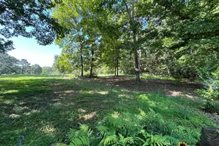 25 Loon Ln, Ball Ground, GA 30107 - Photo 61