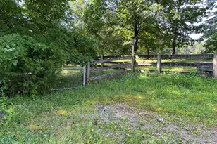 25 Loon Ln, Ball Ground, GA 30107 - Photo 59