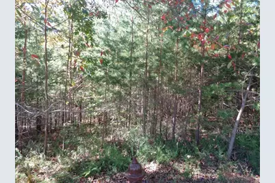2474 Wedgewood Drive, Big Canoe, GA 30143 - Photo 1