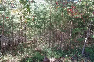 2474 Wedgewood Dr, Big Canoe, GA 30143 - Photo 1