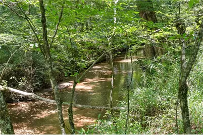 493 Boone Road, Newnan, GA 30263 - Photo 31