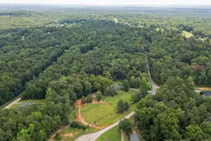 9790 Court Lynn Ln, Winston, GA 30187 - Photo 3