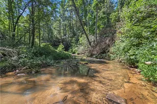 5082 Hwy 197 N, Clarkesville, GA 30523 - Photo 25