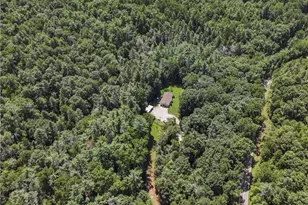 5082 Hwy 197 N, Clarkesville, GA 30523 - Photo 13