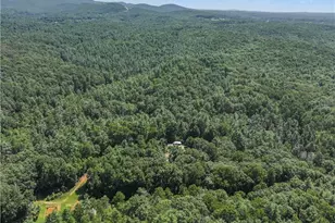 5082 Hwy 197 N, Clarkesville, GA 30523 - Photo 11
