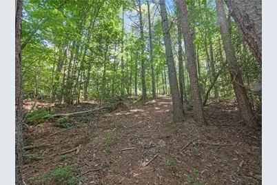 5082 Highway 197 N, Clarkesville, GA 30523 - Photo 19