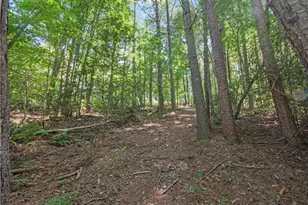 5082 Hwy 197 N, Clarkesville, GA 30523 - Photo 19