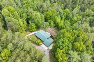 707 S Fern Cove Road S, Sautee Nacoochee, GA 30571 - Photo 47
