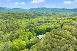 707 S Fern Cove Road S, Sautee Nacoochee, GA 30571 - Photo 49